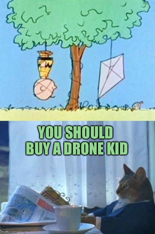 Then again... | YOU SHOULD BUY A DRONE KID | image tagged in memes,i should buy a boat cat,charlie brown,drone,funny | made w/ Imgflip meme maker