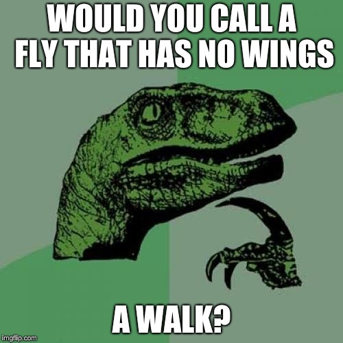 Philosoraptor Meme | WOULD YOU CALL A FLY THAT HAS NO WINGS; A WALK? | image tagged in memes,philosoraptor | made w/ Imgflip meme maker