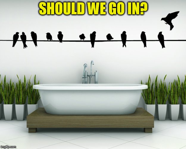SHOULD WE GO IN? | made w/ Imgflip meme maker
