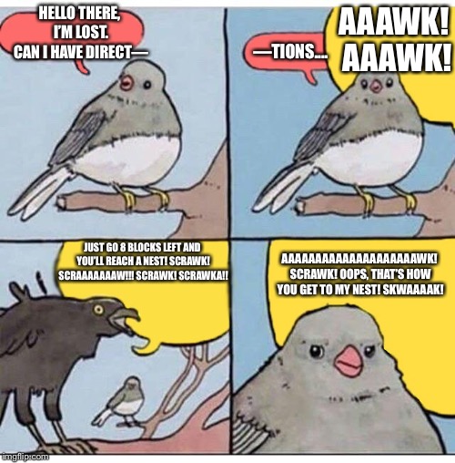 Idk what else to do for bird weekend... | AAAWK! AAAWK! HELLO THERE, I’M LOST. CAN I HAVE DIRECT—; —TIONS.... JUST GO 8 BLOCKS LEFT AND YOU’LL REACH A NEST! SCRAWK! SCRAAAAAAAW!!! SCRAWK! SCRAWKA!! AAAAAAAAAAAAAAAAAAAAWK! SCRAWK! OOPS, THAT’S HOW YOU GET TO MY NEST! SKWAAAAK! | image tagged in annoyed bird,bird weekend | made w/ Imgflip meme maker