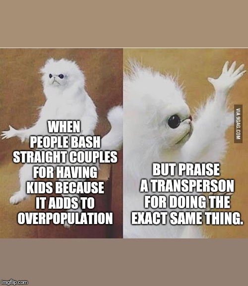 Hypocritical thinking | WHEN PEOPLE BASH STRAIGHT COUPLES FOR HAVING KIDS BECAUSE IT ADDS TO OVERPOPULATION; BUT PRAISE A TRANSPERSON FOR DOING THE EXACT SAME THING. | image tagged in confused white monkey,trans,pregnant woman,gender,hypocritical,liberal logic | made w/ Imgflip meme maker