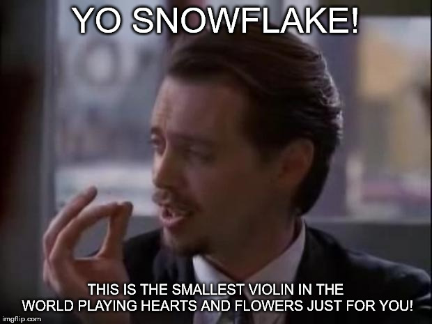 The World's Smallest Violin | YO SNOWFLAKE! THIS IS THE SMALLEST VIOLIN IN THE WORLD PLAYING HEARTS AND FLOWERS JUST FOR YOU! | image tagged in the world's smallest violin | made w/ Imgflip meme maker