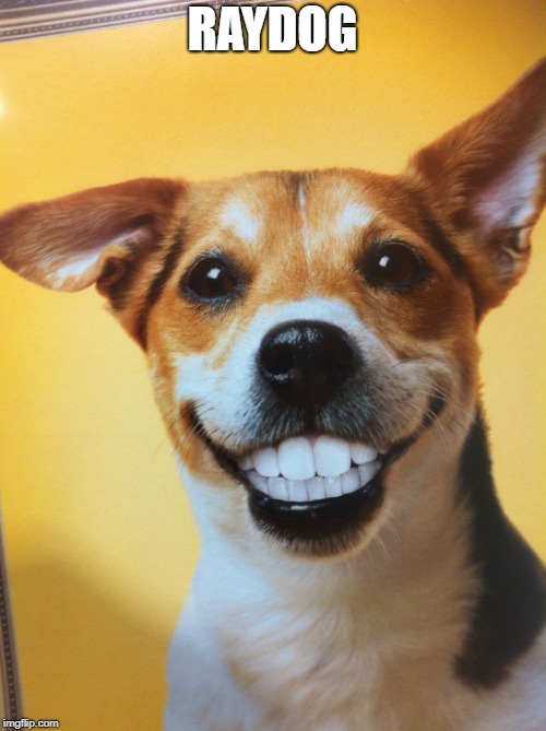 Raydog | RAYDOG | image tagged in raydog | made w/ Imgflip meme maker