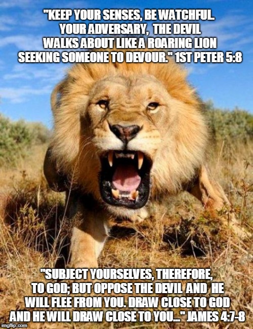 lion | "KEEP YOUR SENSES, BE WATCHFUL. YOUR ADVERSARY,  THE DEVIL WALKS ABOUT LIKE A ROARING LION SEEKING SOMEONE TO DEVOUR." 1ST PETER 5:8; "SUBJECT YOURSELVES, THEREFORE, TO GOD; BUT OPPOSE THE DEVIL  AND  HE WILL FLEE FROM YOU. DRAW CLOSE TO GOD AND HE WILL DRAW CLOSE TO YOU..." JAMES 4:7-8 | image tagged in lion | made w/ Imgflip meme maker