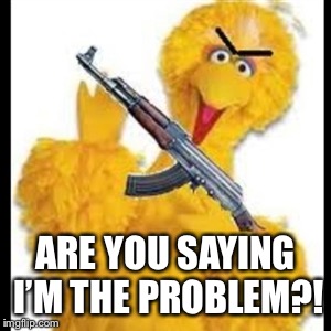 Angry Big Bird | ARE YOU SAYING I’M THE PROBLEM?! | image tagged in angry big bird | made w/ Imgflip meme maker