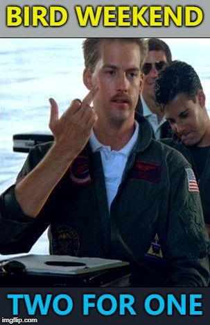 I feel the need... :) | BIRD WEEKEND; TWO FOR ONE | image tagged in a goose and a bird,memes,bird weekend,top gun,films | made w/ Imgflip meme maker