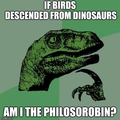 Philosoraptor | IF BIRDS DESCENDED FROM DINOSAURS; AM I THE PHILOSOROBIN? | image tagged in memes,philosoraptor | made w/ Imgflip meme maker
