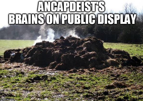 Steaming pile of shit | ANCAPDEIST'S BRAINS ON PUBLIC DISPLAY | image tagged in steaming pile of shit | made w/ Imgflip meme maker