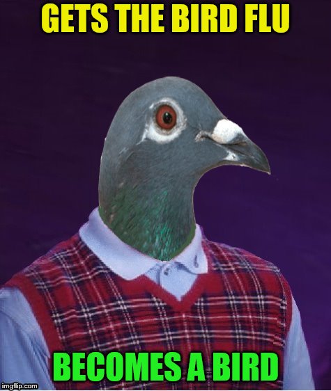 Bad Luck Bird | GETS THE BIRD FLU BECOMES A BIRD | image tagged in bad luck bird | made w/ Imgflip meme maker
