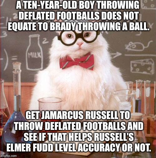 Ace Davis should have used JaMarcus Russell as a deflated football tester for his Brady project |  A TEN-YEAR-OLD BOY THROWING DEFLATED FOOTBALLS DOES NOT EQUATE TO BRADY THROWING A BALL. GET JAMARCUS RUSSELL TO THROW DEFLATED FOOTBALLS AND SEE IF THAT HELPS RUSSELL’S ELMER FUDD LEVEL ACCURACY OR NOT. | image tagged in science cat,memes,deflategate,jamarcus russell,tom brady,nfl football | made w/ Imgflip meme maker