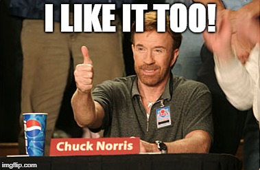 Chuck Norris Approves Meme | I LIKE IT TOO! | image tagged in memes,chuck norris approves,chuck norris | made w/ Imgflip meme maker