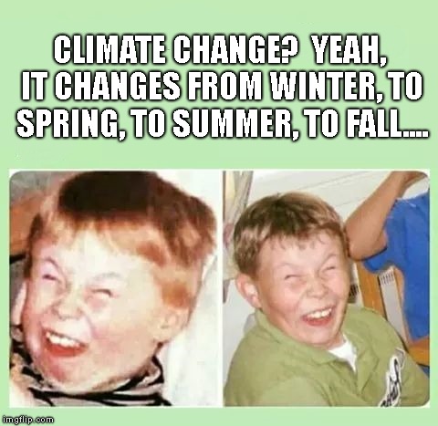 Smart ass! | CLIMATE CHANGE?  YEAH, IT CHANGES FROM WINTER, TO SPRING, TO SUMMER, TO FALL.... | image tagged in climate change,seasons,goofy,kid,change | made w/ Imgflip meme maker