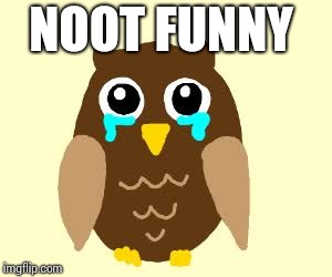 :( | NOOT FUNNY | image tagged in owl,bird | made w/ Imgflip meme maker