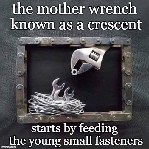 templete is,young wrench being fed.metal as art.thank heaven for moms that take care of the young. | the mother wrench known as a crescent; starts by feeding the young small fasteners | image tagged in young wrench being fed,metal art,maternal instinct,valentine day results,meme this | made w/ Imgflip meme maker