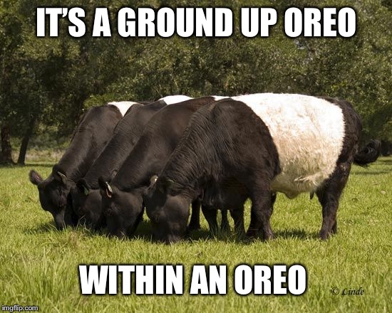 oreo cattle | IT’S A GROUND UP OREO WITHIN AN OREO | image tagged in oreo cattle | made w/ Imgflip meme maker