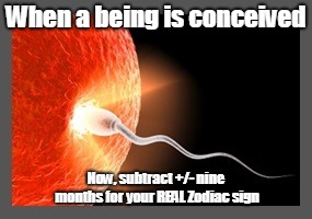 Conception | When a being is conceived; Now, subtract +/- nine months for your REAL Zodiac sign | image tagged in conception | made w/ Imgflip meme maker
