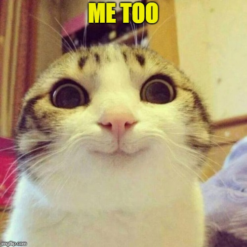 Smiling Cat Meme | ME TOO | image tagged in memes,smiling cat | made w/ Imgflip meme maker