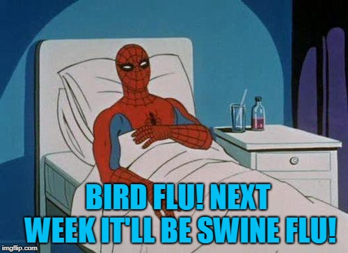 Spiderman Hospital Meme | BIRD FLU! NEXT WEEK IT'LL BE SWINE FLU! | image tagged in memes,spiderman hospital,spiderman | made w/ Imgflip meme maker