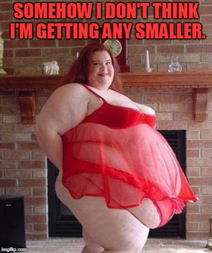 Obese Woman | SOMEHOW I DON'T THINK I'M GETTING ANY SMALLER. | image tagged in obese woman | made w/ Imgflip meme maker