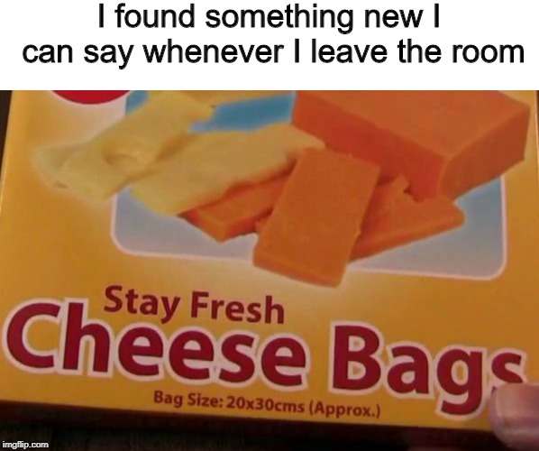 stay fresh, cheese bags | I found something new I can say whenever I leave the room | image tagged in memes,food,trhtimmy | made w/ Imgflip meme maker