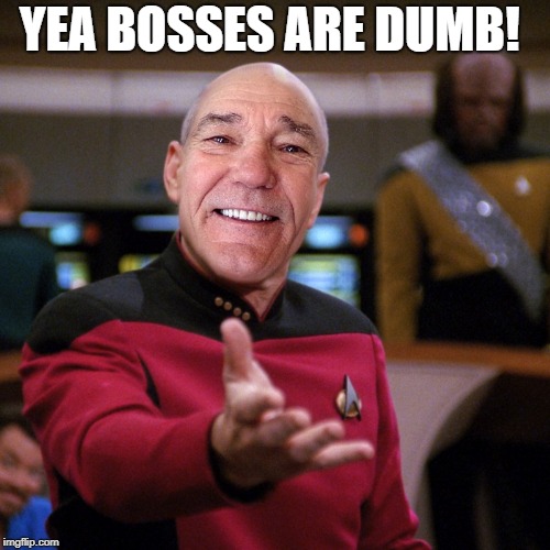 wtf picard kewlew | YEA BOSSES ARE DUMB! | image tagged in wtf picard kewlew | made w/ Imgflip meme maker