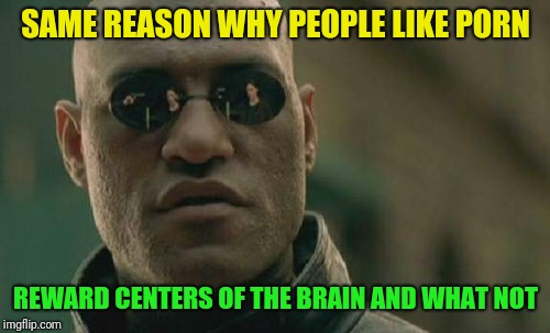Matrix Morpheus Meme | SAME REASON WHY PEOPLE LIKE PORN REWARD CENTERS OF THE BRAIN AND WHAT NOT | image tagged in memes,matrix morpheus | made w/ Imgflip meme maker