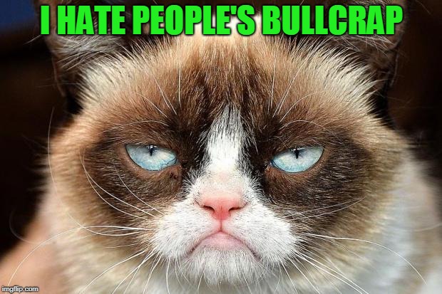 Grumpy Cat Not Amused Meme | I HATE PEOPLE'S BULLCRAP | image tagged in memes,grumpy cat not amused,grumpy cat | made w/ Imgflip meme maker