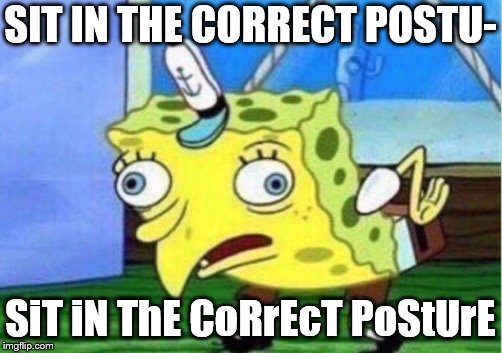 Mocking Spongebob Meme | SIT IN THE CORRECT POSTU-; SiT iN ThE CoRrEcT PoStUrE | image tagged in memes,mocking spongebob | made w/ Imgflip meme maker