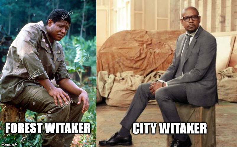 A Tale of Two Witakers | CITY WITAKER; FOREST WITAKER | image tagged in forest whitaker | made w/ Imgflip meme maker