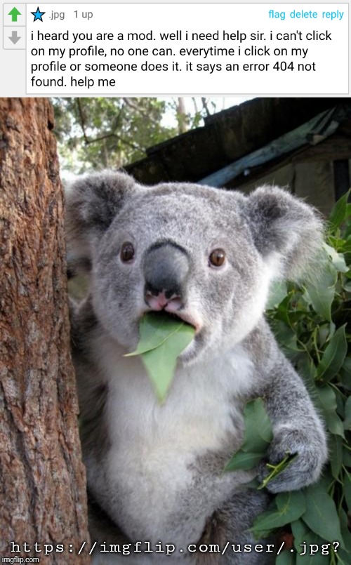 https://imgflip.com/user/.jpg? | image tagged in memes,surprised koala | made w/ Imgflip meme maker