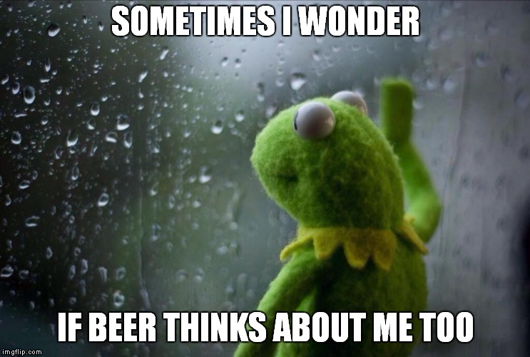 sometimes i wonder if beer thinks about me too | SOMETIMES I WONDER; IF BEER THINKS ABOUT ME TOO | image tagged in sad kermit,sometimes i wonder,beer,kermit beer,kermit,kermit the frog | made w/ Imgflip meme maker