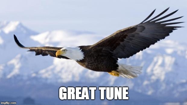 eagle | GREAT TUNE | image tagged in eagle | made w/ Imgflip meme maker
