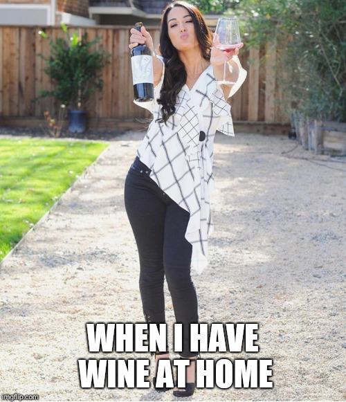 Wine at home | WHEN I HAVE WINE AT HOME | image tagged in wine,home,me,yay,brie bella | made w/ Imgflip meme maker