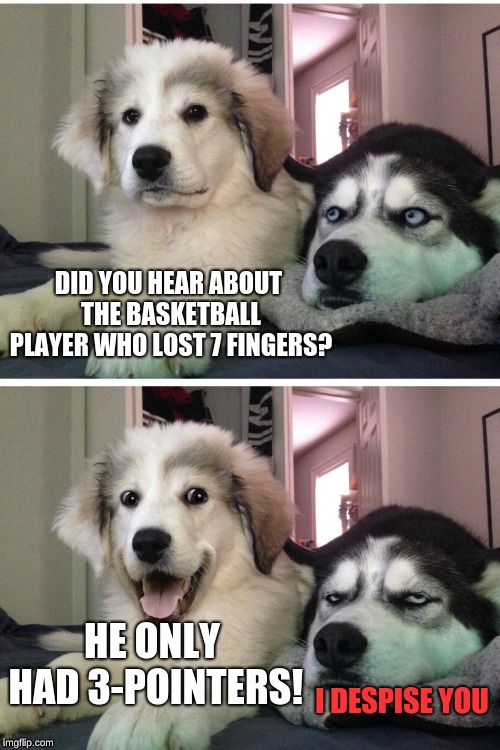 Bad pun dogs | DID YOU HEAR ABOUT THE BASKETBALL PLAYER WHO LOST 7 FINGERS? HE ONLY HAD 3-POINTERS! I DESPISE YOU | image tagged in bad pun dogs,memes,puns,basketball,funny | made w/ Imgflip meme maker