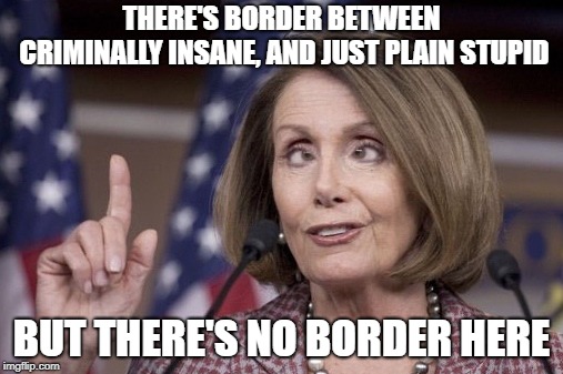 Nancy pelosi |  THERE'S BORDER BETWEEN CRIMINALLY INSANE, AND JUST PLAIN STUPID; BUT THERE'S NO BORDER HERE | image tagged in nancy pelosi | made w/ Imgflip meme maker