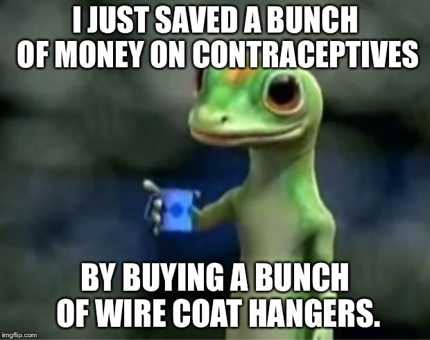 Don't listen to Catholicism | I JUST SAVED A BUNCH OF MONEY ON CONTRACEPTIVES; BY BUYING A BUNCH OF WIRE COAT HANGERS. | image tagged in geico gecko,memes,abortion,money,bad advice,bad joke | made w/ Imgflip meme maker
