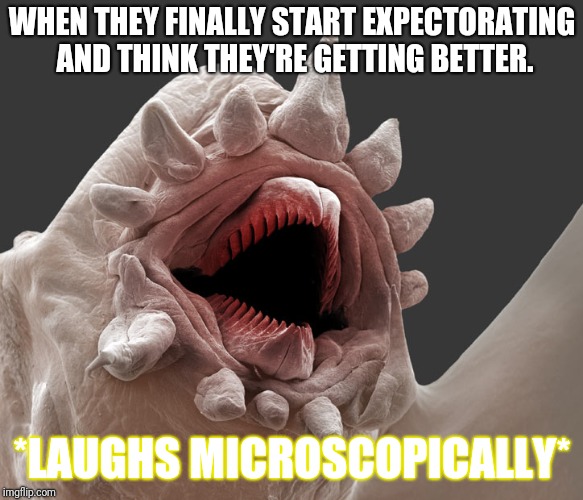 Laughs Microscopically | WHEN THEY FINALLY START EXPECTORATING AND THINK THEY'RE GETTING BETTER. *LAUGHS MICROSCOPICALLY* | image tagged in laughs microscopically | made w/ Imgflip meme maker