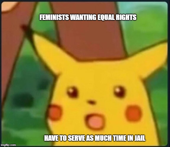 Pickachu oh | FEMINISTS WANTING EQUAL RIGHTS; HAVE TO SERVE AS MUCH TIME IN JAIL | image tagged in pickachu oh | made w/ Imgflip meme maker