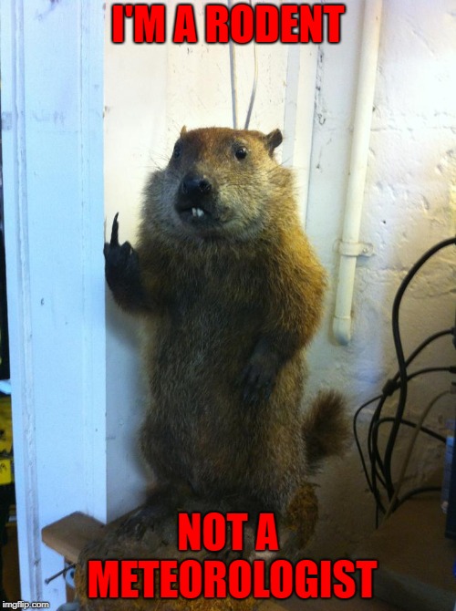 That poor Groundhog...always gettin' a bad rap! |  I'M A RODENT; NOT A METEOROLOGIST | image tagged in groundhog,memes,groundhog day,funny,rodents,meteorologists | made w/ Imgflip meme maker