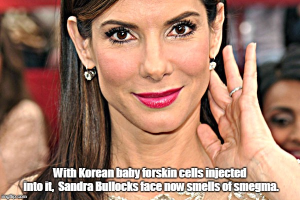 Sandra Bullock | With Korean baby forskin cells injected into it,  Sandra Bullocks face now smells of smegma. | image tagged in sandra bullock | made w/ Imgflip meme maker