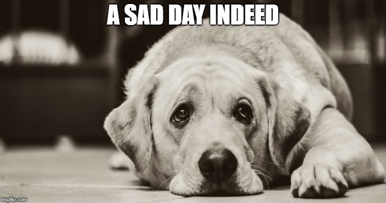 A SAD DAY INDEED | made w/ Imgflip meme maker