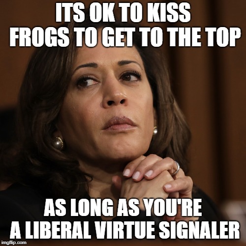 ITS OK TO KISS FROGS TO GET TO THE TOP; AS LONG AS YOU'RE A LIBERAL VIRTUE SIGNALER | made w/ Imgflip meme maker