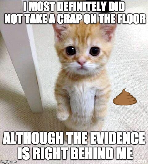 Cute Cat | I MOST DEFINITELY DID NOT TAKE A CRAP ON THE FLOOR; ALTHOUGH THE EVIDENCE IS RIGHT BEHIND ME | image tagged in memes,cute cat | made w/ Imgflip meme maker