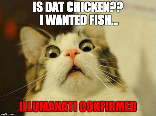Scared Cat Meme | IS DAT CHICKEN?? I WANTED FISH... ILLUMANATI CONFIRMED | image tagged in memes,scared cat | made w/ Imgflip meme maker
