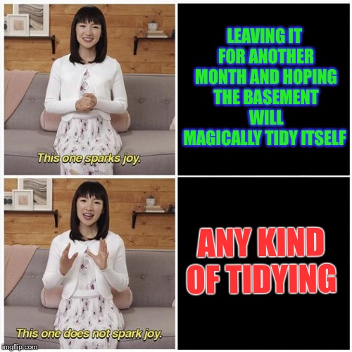 Marie Kondo Spark Joy | LEAVING IT FOR ANOTHER MONTH AND HOPING THE BASEMENT WILL MAGICALLY TIDY ITSELF ANY KIND OF TIDYING | image tagged in marie kondo spark joy | made w/ Imgflip meme maker