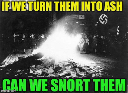 IF WE TURN THEM INTO ASH CAN WE SNORT THEM | image tagged in book burning | made w/ Imgflip meme maker