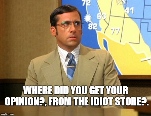 Brick | WHERE DID YOU GET YOUR OPINION?, FROM THE IDIOT STORE?. | image tagged in brick tamland weather | made w/ Imgflip meme maker