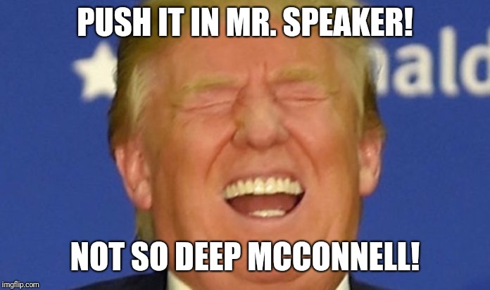 Trump laughing | PUSH IT IN MR. SPEAKER! NOT SO DEEP MCCONNELL! | image tagged in trump laughing | made w/ Imgflip meme maker