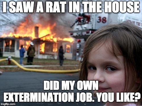 Disaster Girl Meme | I SAW A RAT IN THE HOUSE; DID MY OWN EXTERMINATION JOB. YOU LIKE? | image tagged in memes,disaster girl | made w/ Imgflip meme maker