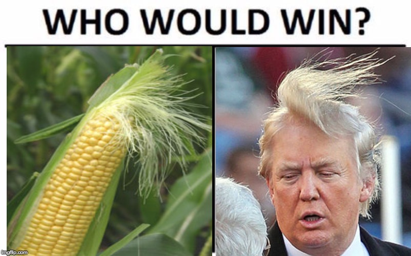 Who Would Win? Meme | image tagged in memes,who would win | made w/ Imgflip meme maker